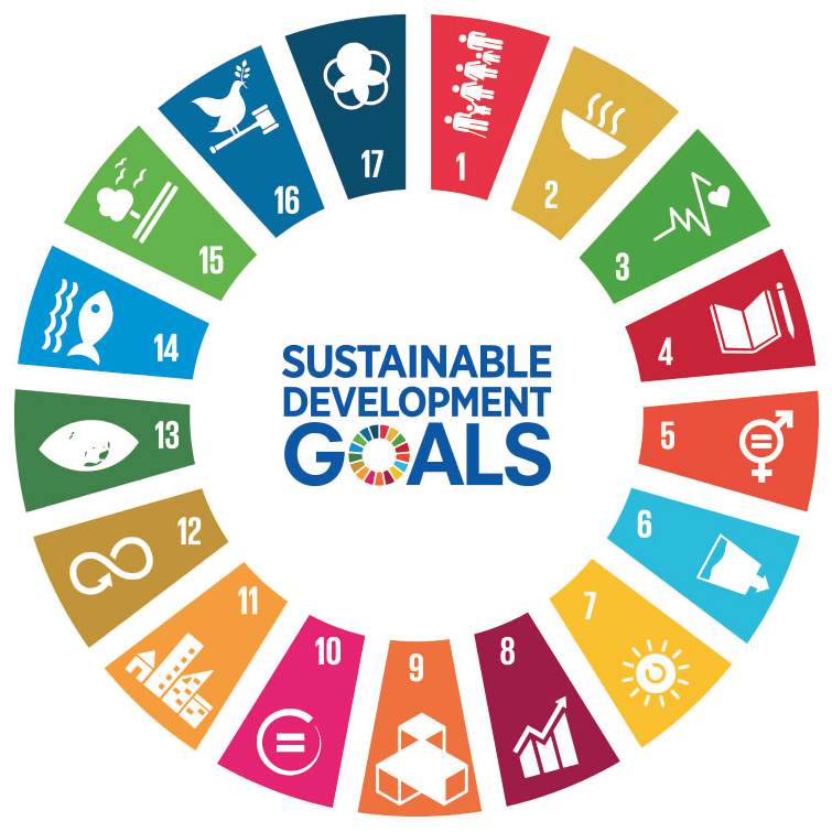a circle made up of the 17 united nations sustainable development goals