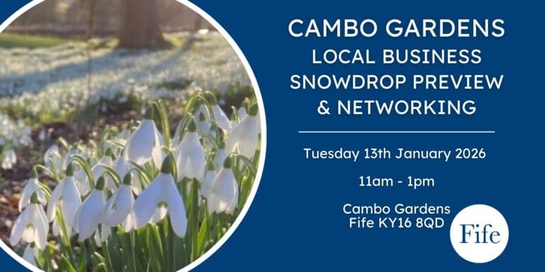 Cambo snowdrop preview 768x384